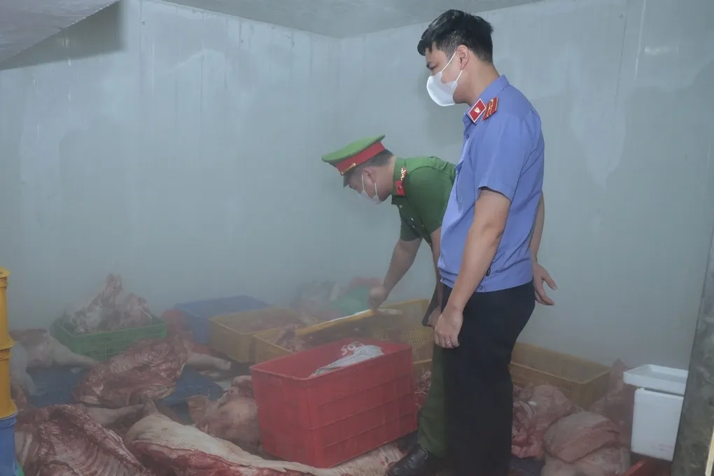 Cơ quan chức năng kiểm tra kho lạnh chứa lợn bệnh của ông Khương. Ảnh: CACC