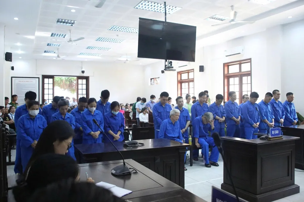 Các bị cáo đứng nghe tuyên án. Ảnh: Phạm Hải