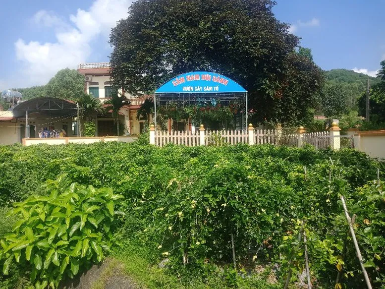 Hành trình OCOP Bắc Ninh: Từ sản vật quê hương đến thương hiệu vươn xa- Ảnh 1.