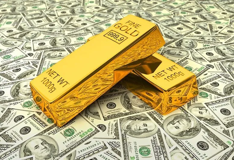 Khai báo không trung thực về ngoại tệ, vàng khi xuất, nhập cảnh bị xử phạt như thế nào?- Ảnh 1.