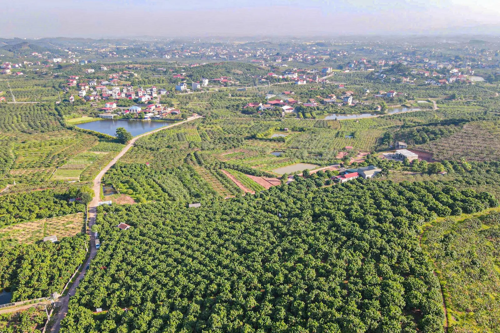 Toàn cảnh Bắc Ninh - thành phố thứ 9 của Việt Nam - Ảnh 27.