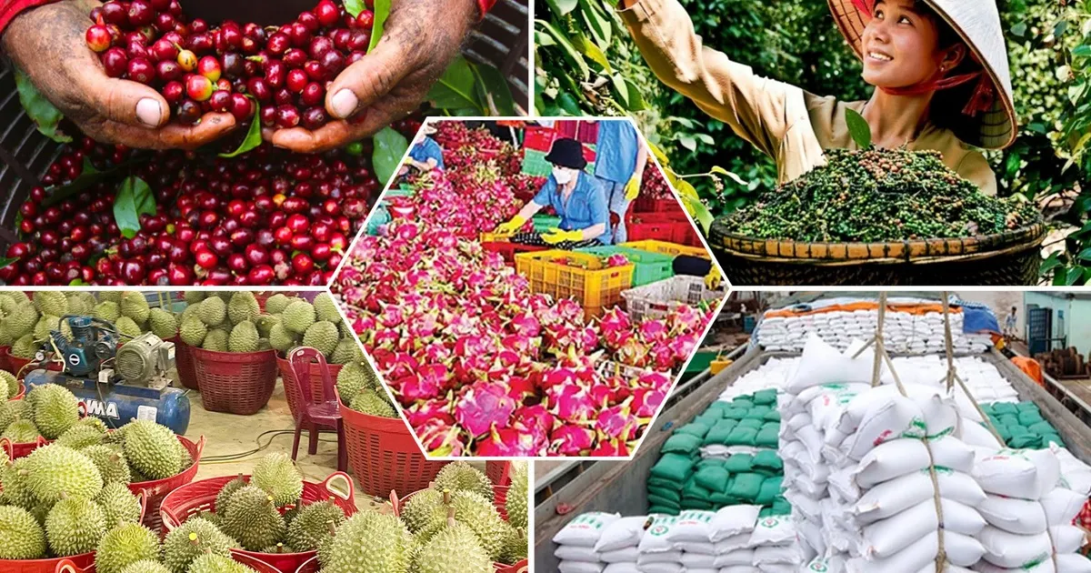 Tiêu chí đánh giá, phân hạng sản phẩm OCOP