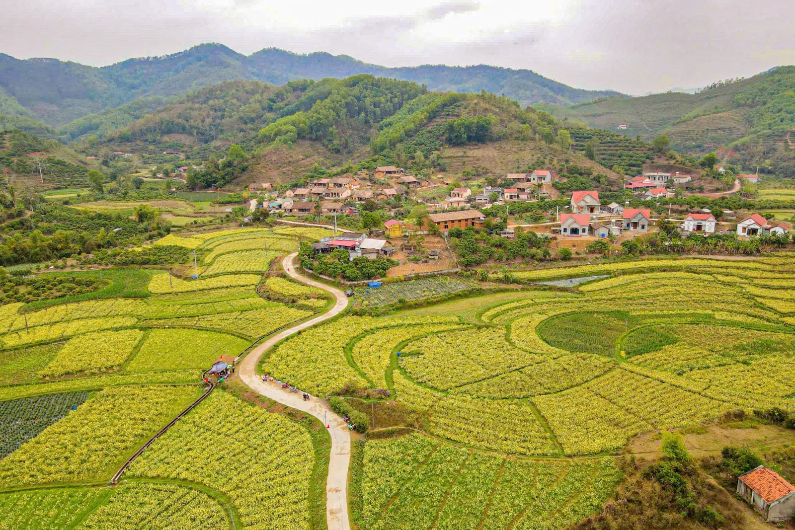 Toàn cảnh Bắc Ninh - thành phố thứ 9 của Việt Nam - Ảnh 32.