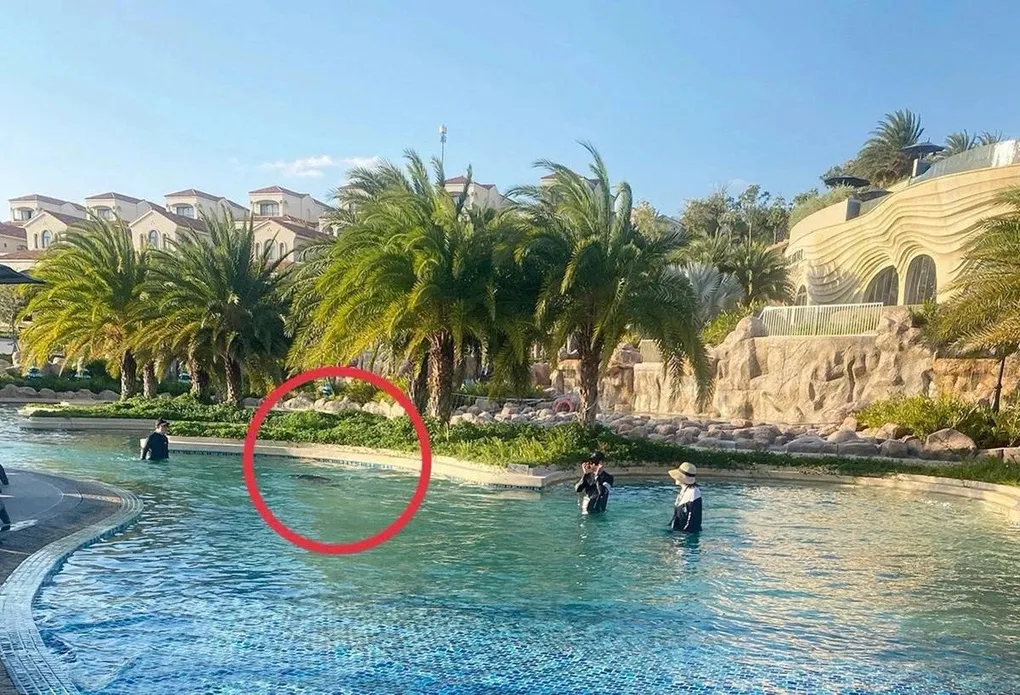 Vị trí bé trai người Nhật tử vong tại hồ bơi ở resort. Ảnh: Gia đình nạn nhân cung cấp