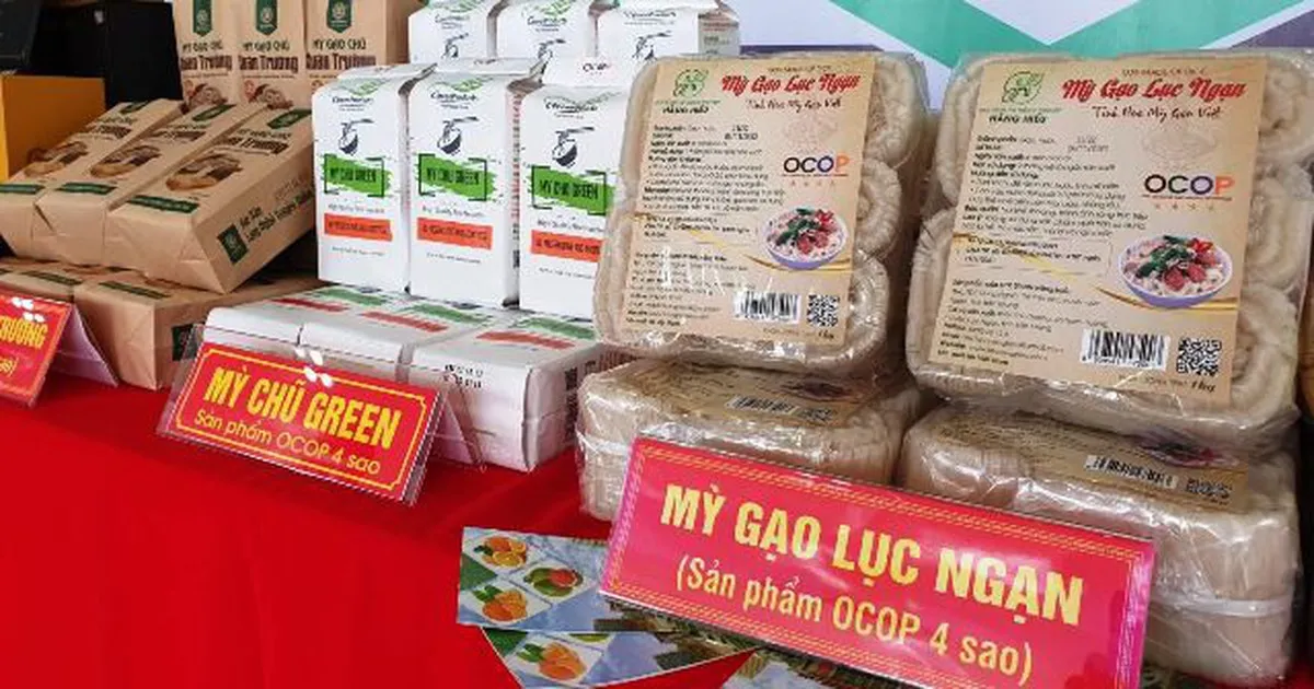 Hành trình đưa thương hiệu OCOP toả sáng