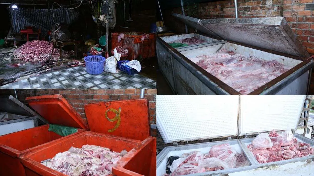 9 người bị bắt trong vụ đưa 400 tấn thịt heo bệnh, chết ra thị trường