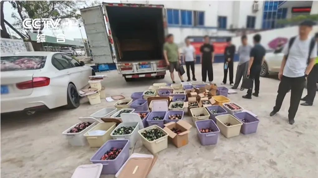 Tang vật trong vụ bắt giữ. Ảnh: SCMP