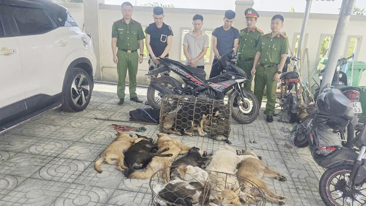 Trộm chó trong 20 giây