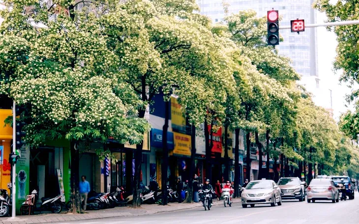 Chú rể Bắc Ninh chọn hoa sữa làm hoa cưới, cô dâu và hai họ ngỡ ngàng - Ảnh 4.