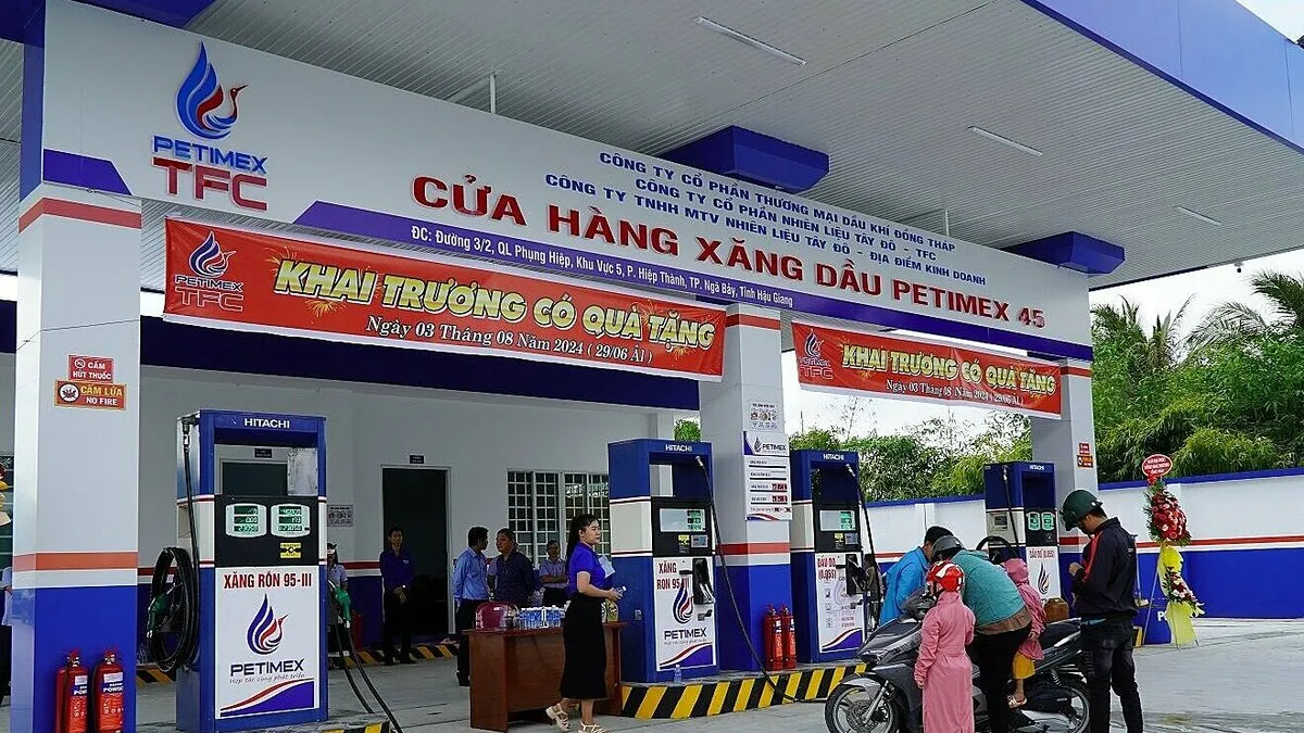 Thanh tra Chính phủ: Petimex 'găm' xăng dầu liên tục, có ngày vượt 500%